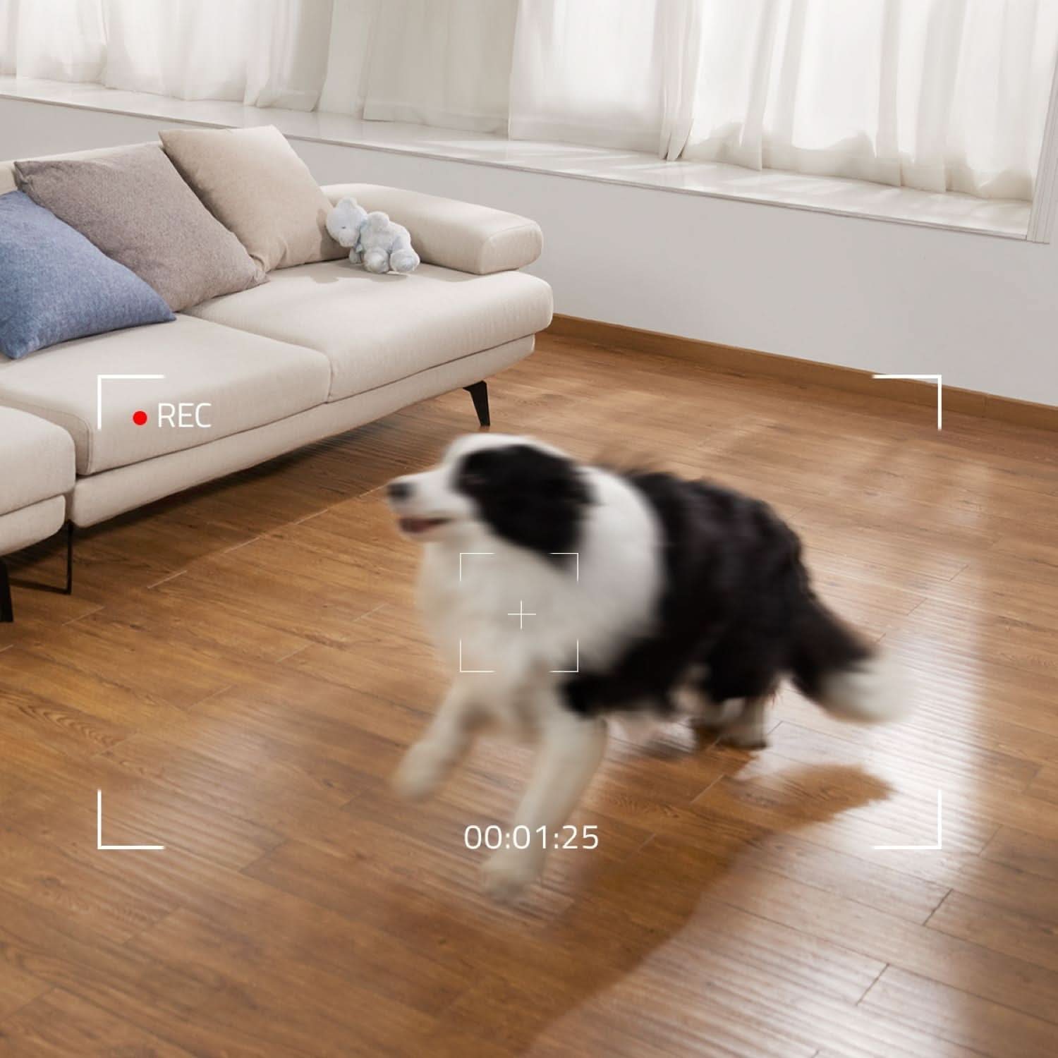 eufy Security P&T Solar Cam and Indoor Cam with Video Smart Lock Bundle