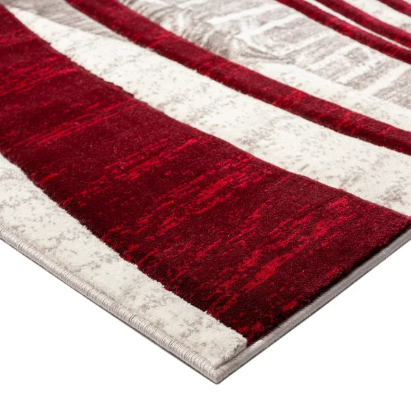 Segma Anya Indoor Area Rug