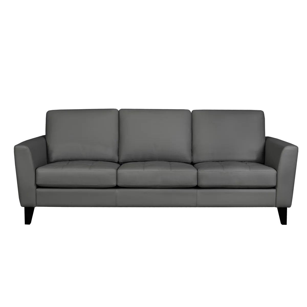 Riviera Contemporary Top Grain Leather Sofa