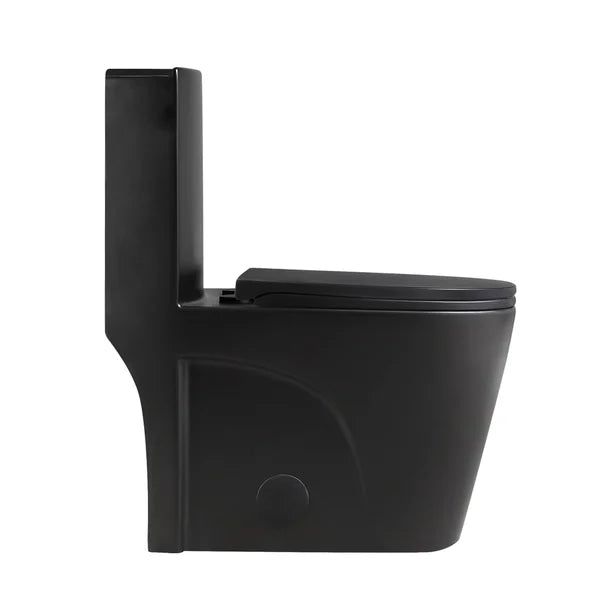 Agua Canada Tyrone 1-piece Dual Flush Toilet