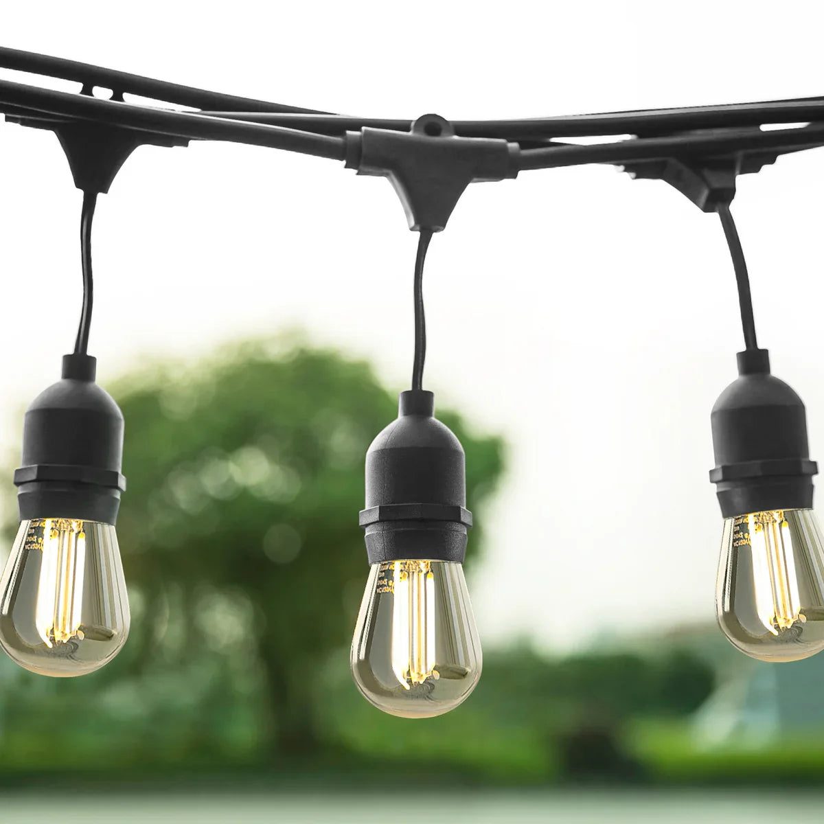 OVE 48 ft. (14.63 m) Glass Weatherproof LED String Lights