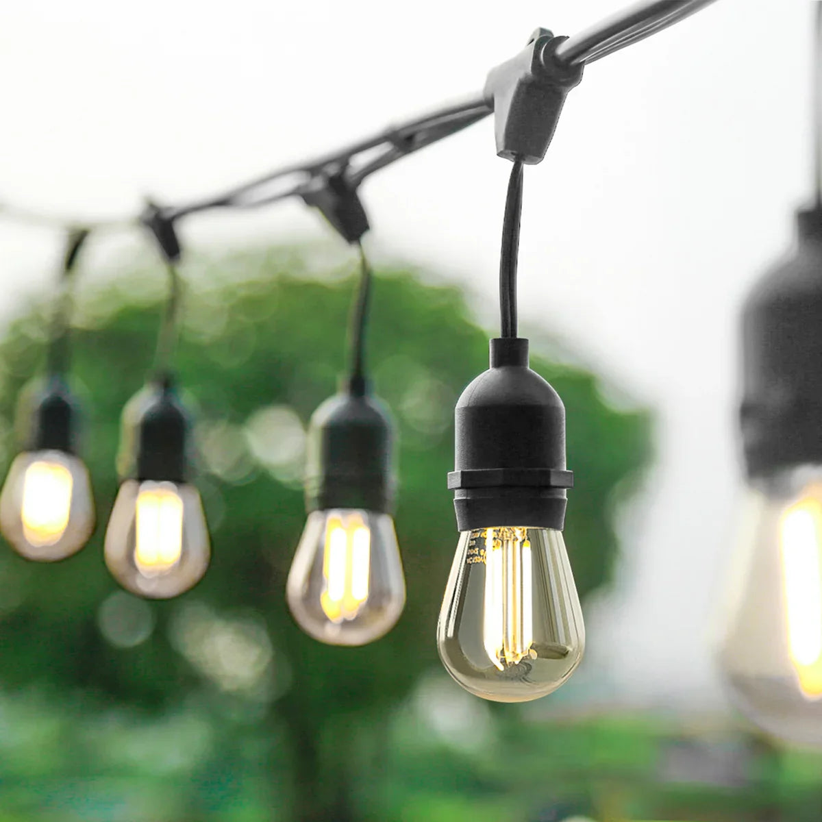 OVE 48 ft. (14.63 m) Glass Weatherproof LED String Lights