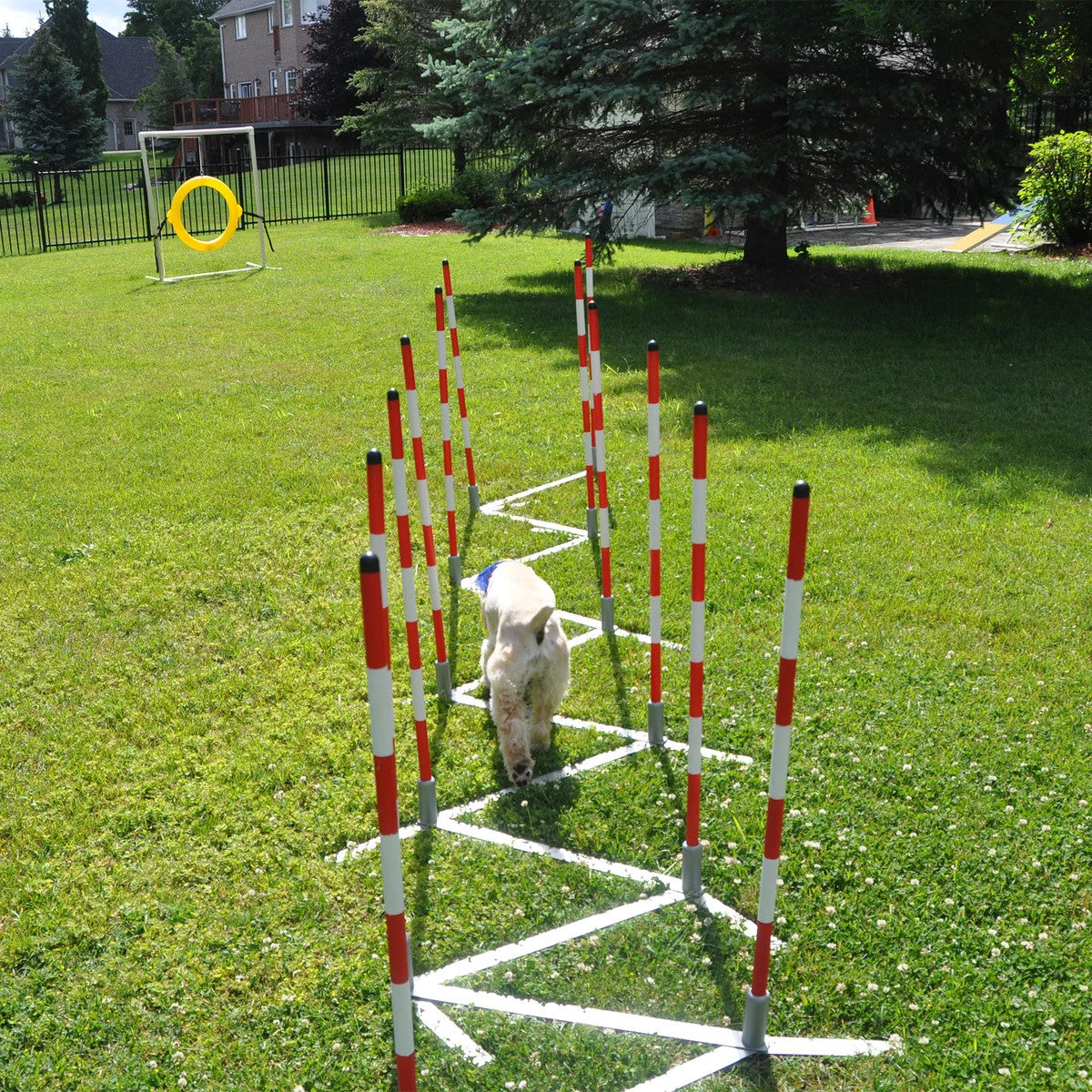 Handlers Choice Set of 12 Agility Weave Poles with Metal Base