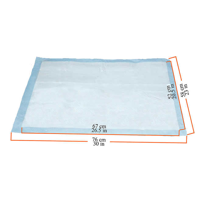 Kirkland Signature Absorbent Multipurpose Pads, 100-count