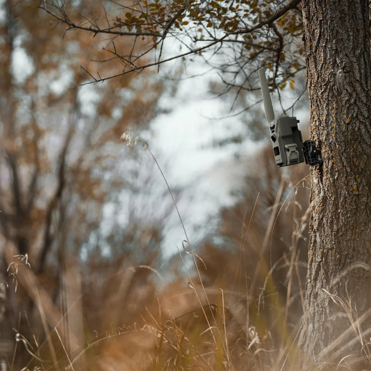 Spypoint Flex Trail Camera Bundle
