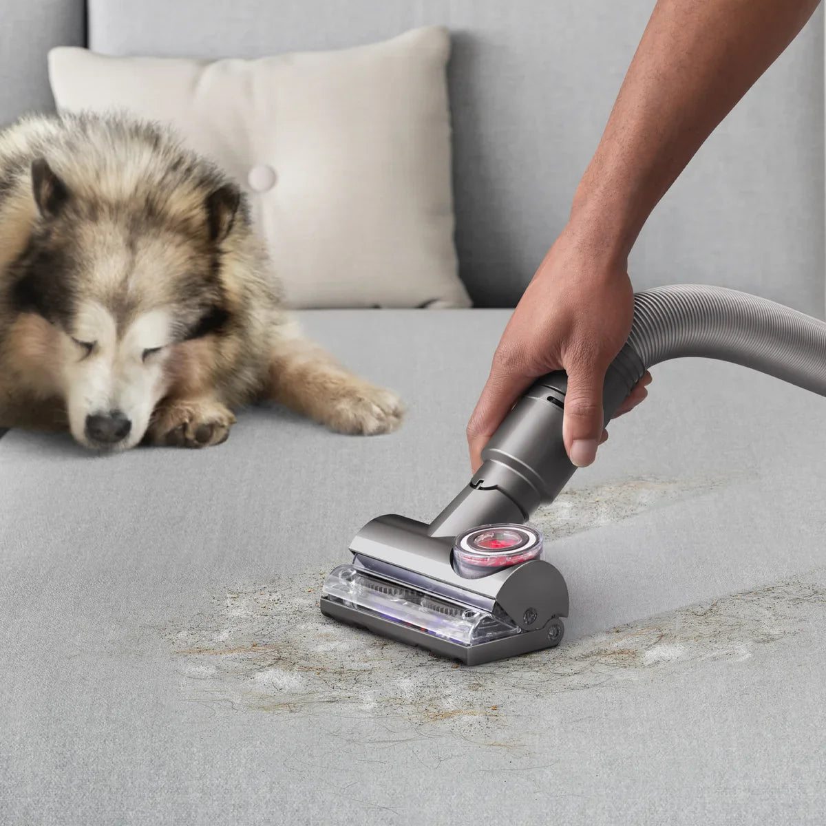 Dyson Ball Animal Total Clean Upright Vacuum