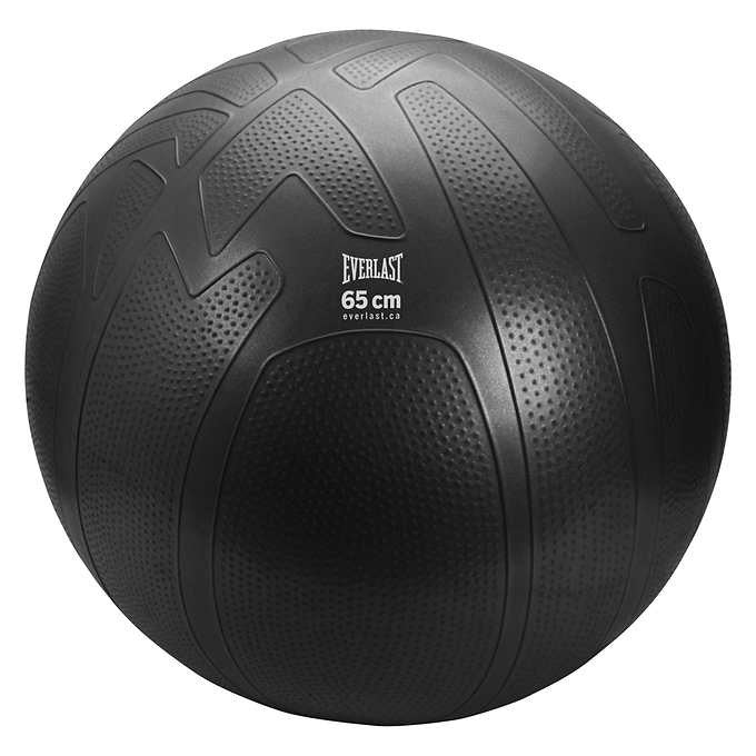 Everlast Exercise Ball and Stretch Bands Kit