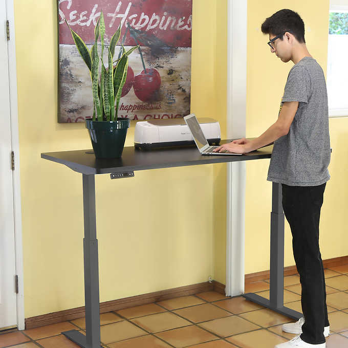 Motionwise 152.4 cm × 76.2 cm (60 in. × 30 in.) Height Adjustable Standing Desk