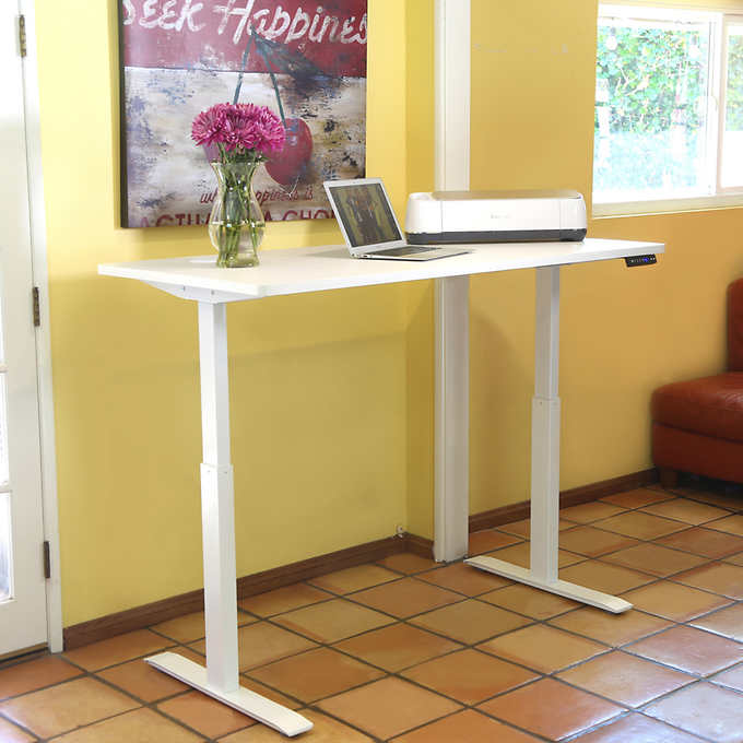 Motionwise 152.4 cm × 76.2 cm (60 in. × 30 in.) Height Adjustable Standing Desk