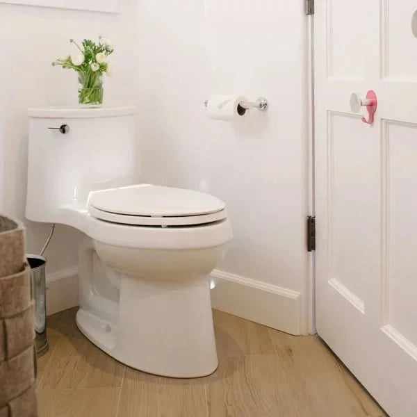 Kohler Adair One-Piece Elongated Toilet