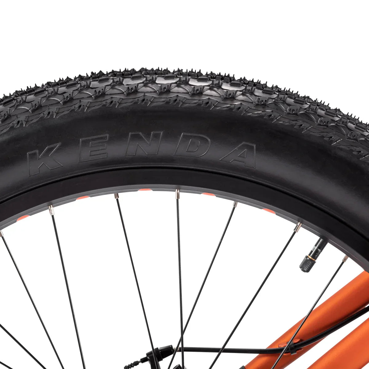 Northrock XCF Fat Tire Bike
