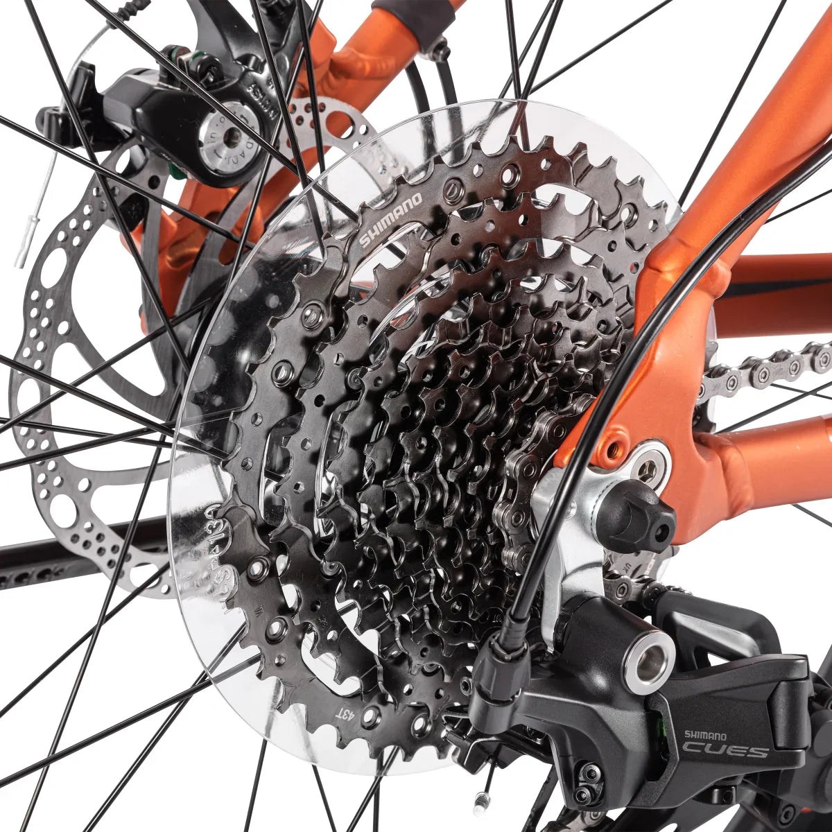 Northrock XCF Fat Tire Bike