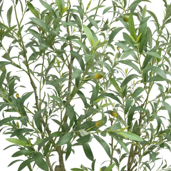 Faux Olive Tree 1.9 m (6.5 ft.)