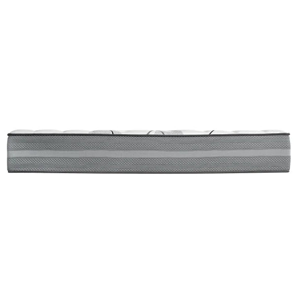 Paulsen 25.4 cm (10 in.) Pocket Coil Hybrid Mattress