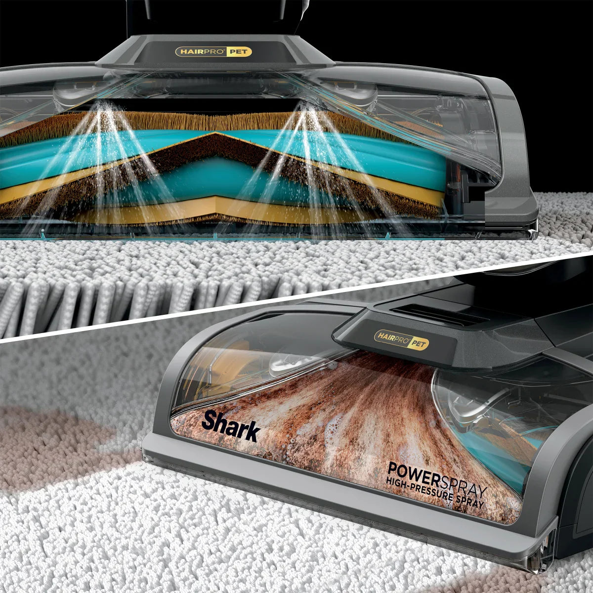 Shark CarpetXpert HairPro Pet with StainStriker Carpet Cleaning Machine