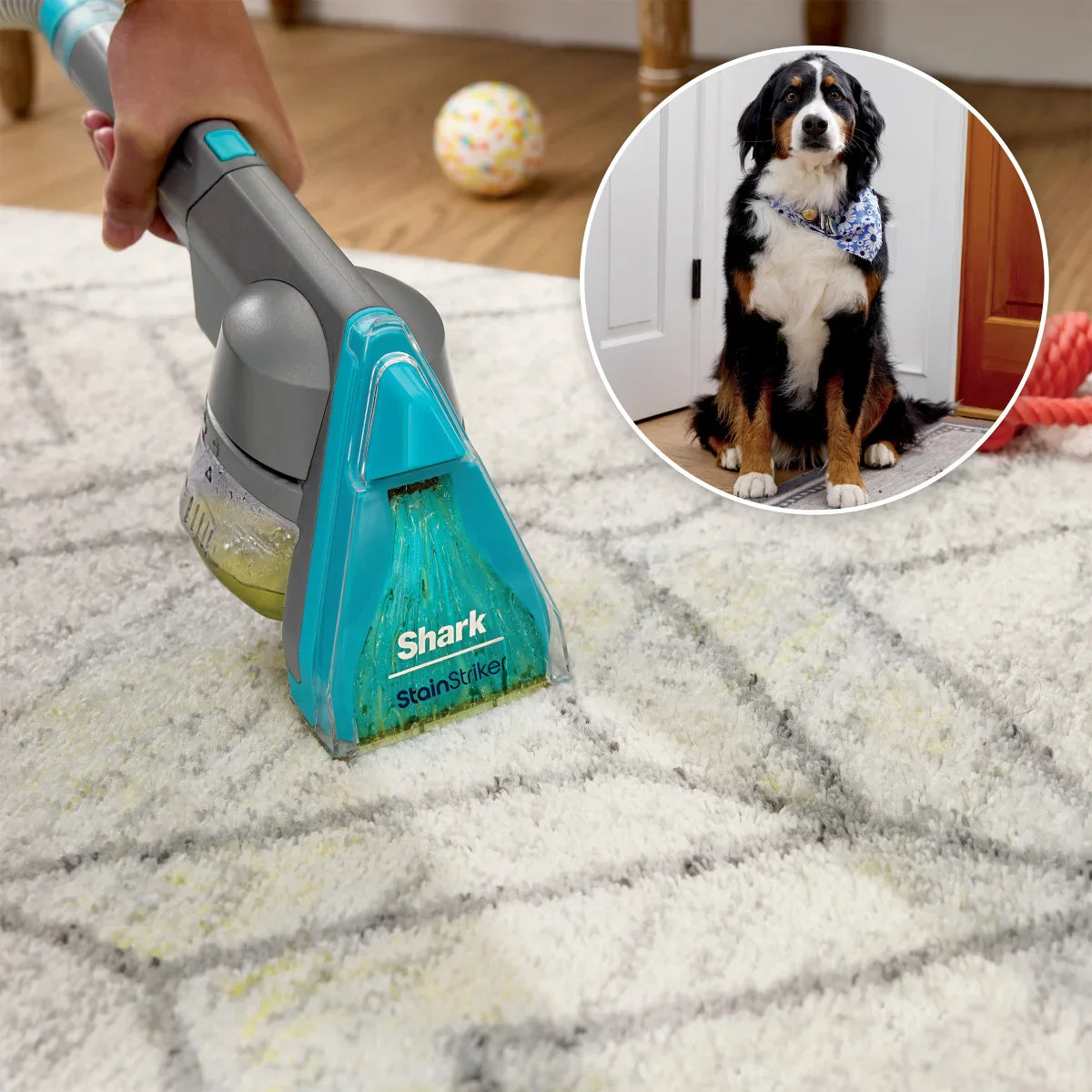 Shark CarpetXpert HairPro Pet with StainStriker Carpet Cleaning Machine