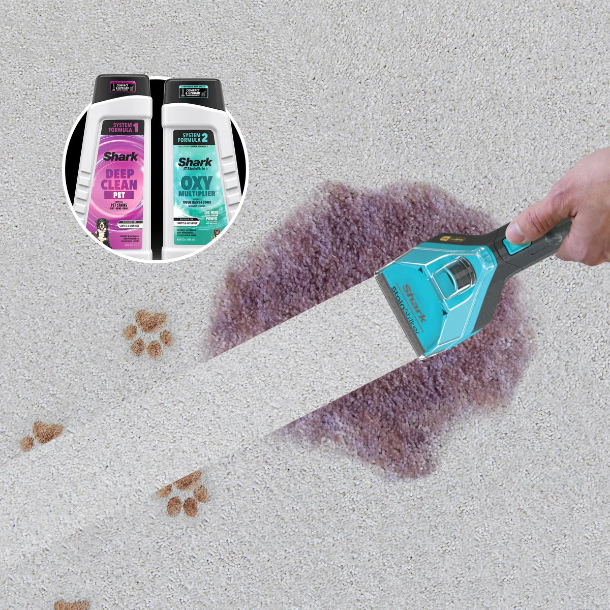 Shark CarpetXpert HairPro Pet with StainStriker Carpet Cleaning Machine