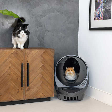 Litter-Robot 3 Connect Self-Cleaning Electric Cat Litter Box Specialty Bundle