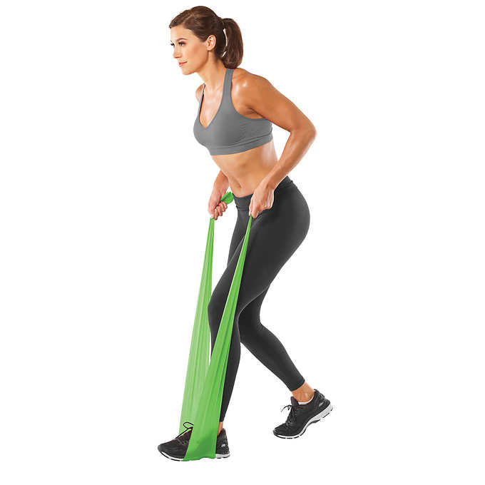 Everlast Exercise Ball and Stretch Bands Kit