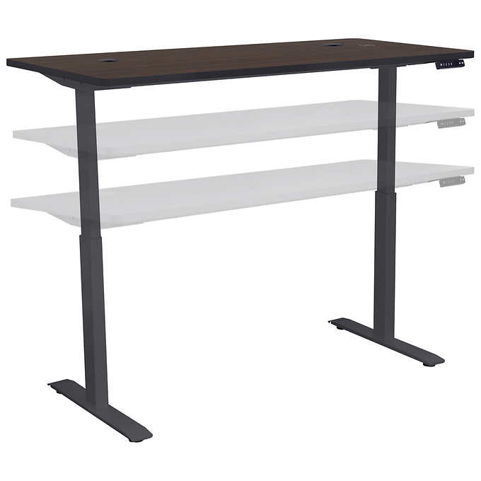 Motionwise 152.4 cm × 76.2 cm (60 in. × 30 in.) Height Adjustable Standing Desk
