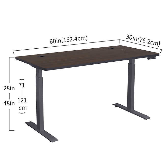 Motionwise 152.4 cm × 76.2 cm (60 in. × 30 in.) Height Adjustable Standing Desk