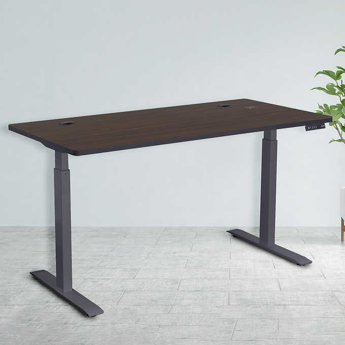 Motionwise 152.4 cm × 76.2 cm (60 in. × 30 in.) Height Adjustable Standing Desk