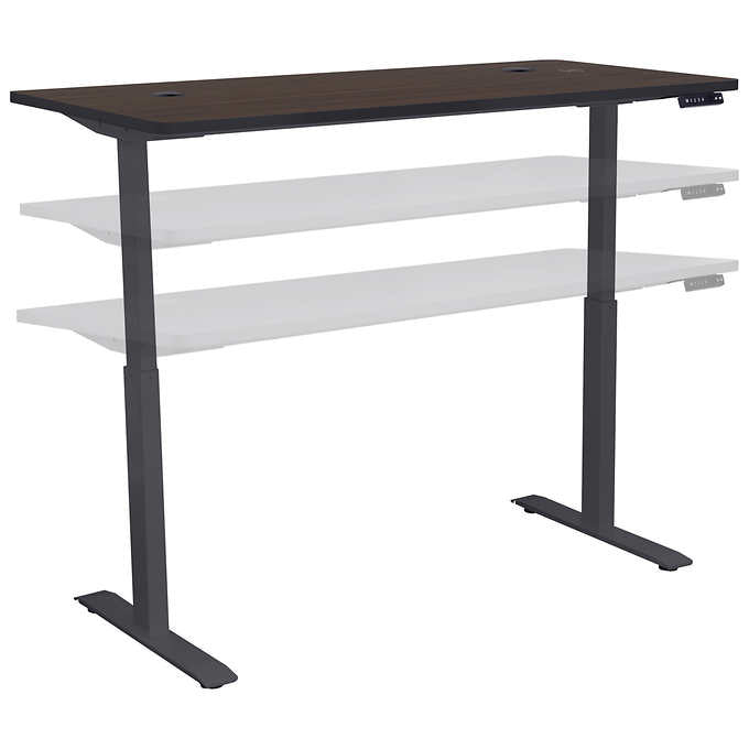 Motionwise 152.4 cm × 76.2 cm (60 in. × 30 in.) Height Adjustable Standing Desk